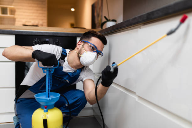 Best Cockroach Control Services  in Liberty Corner, NJ