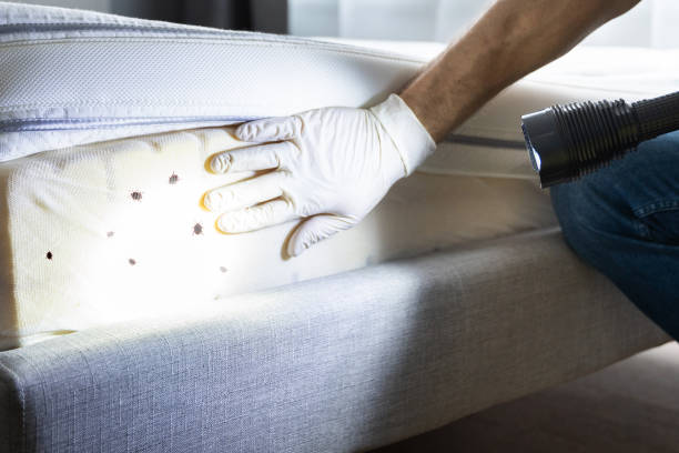Best Wildlife Control Services  in Liberty Corner, NJ