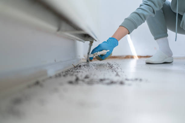 Best Flea Control Services  in Liberty Corner, NJ